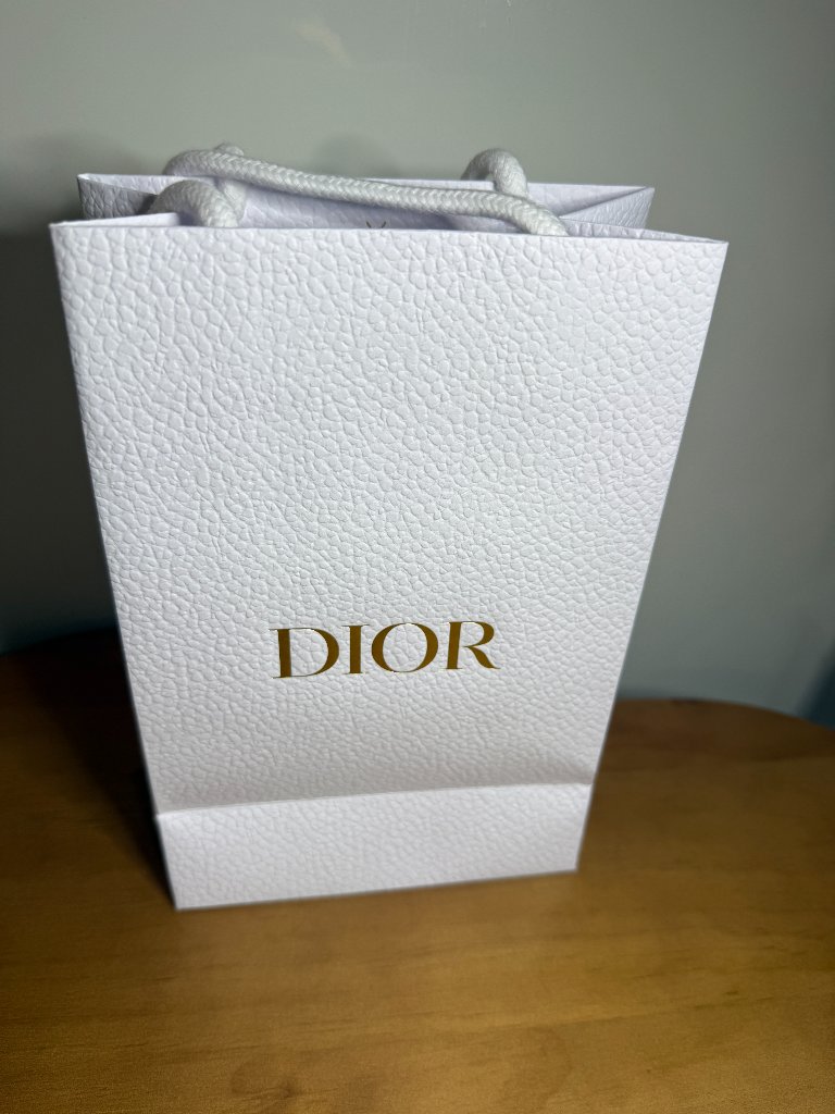 Dior Paper Shopping Bag 22 X 15 X 8cm